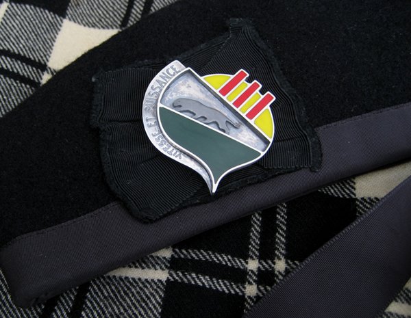 69th Armor Regiment Cap Badge
